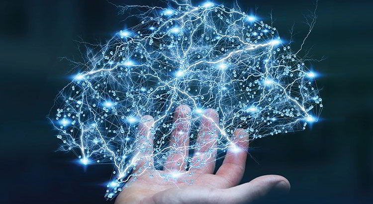 نرم افزار پخش و بازاریابی